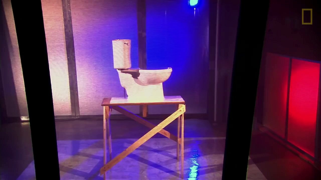 See How Easily a Rat Can Wriggle Up Your Toilet