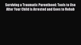 Book Surviving a Traumatic Parenthood: Tools to Use After Your Child is Arrested and Goes to