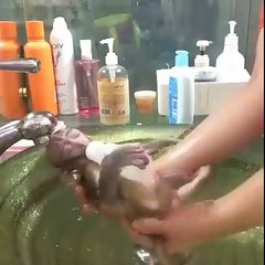 Awww If you are having a bad day....this will cheer you up