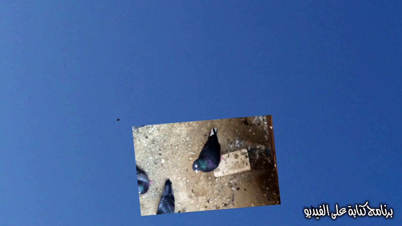 ع
