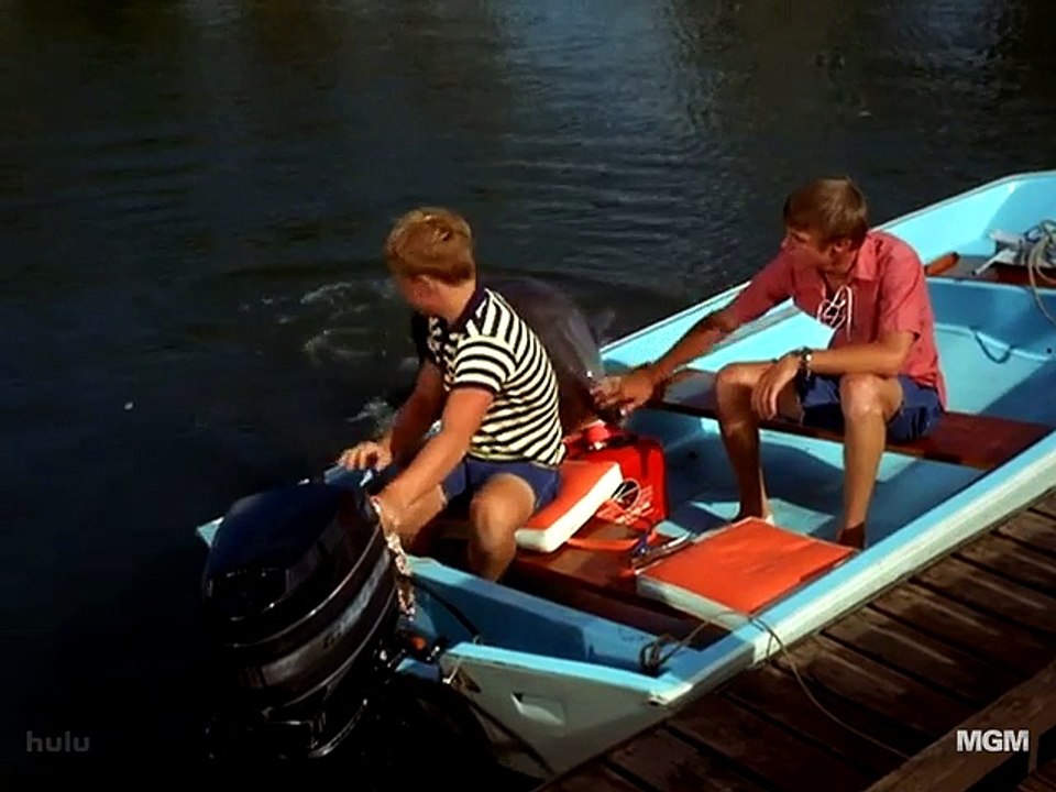 Flipper S03E04 Lost Dolphin
