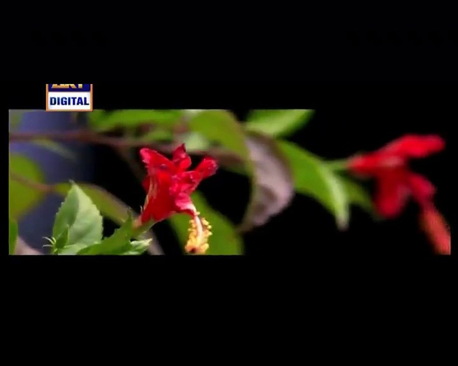 Mein Adhuri Episode 16 in HD P1