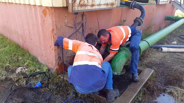 Elephant Baby Rescued from Drowning
