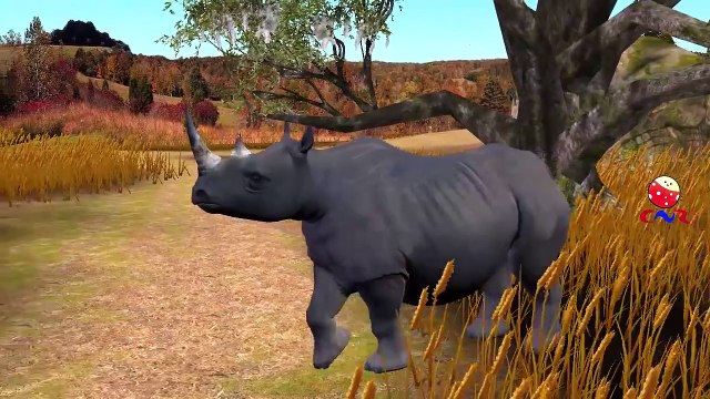 Finger Family Nursery Rhymes for Children Rhinoceros Cartoon | Finger Family Children Nursery Rhymes