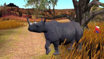 Finger Family Nursery Rhymes for Children Rhinoceros Cartoon | Finger Family Children Nursery Rhymes