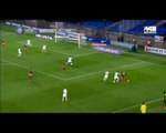 Goal Kevin Berigaud - Montpellier 1-0 Lille (27.02.2016) France - Ligue 1