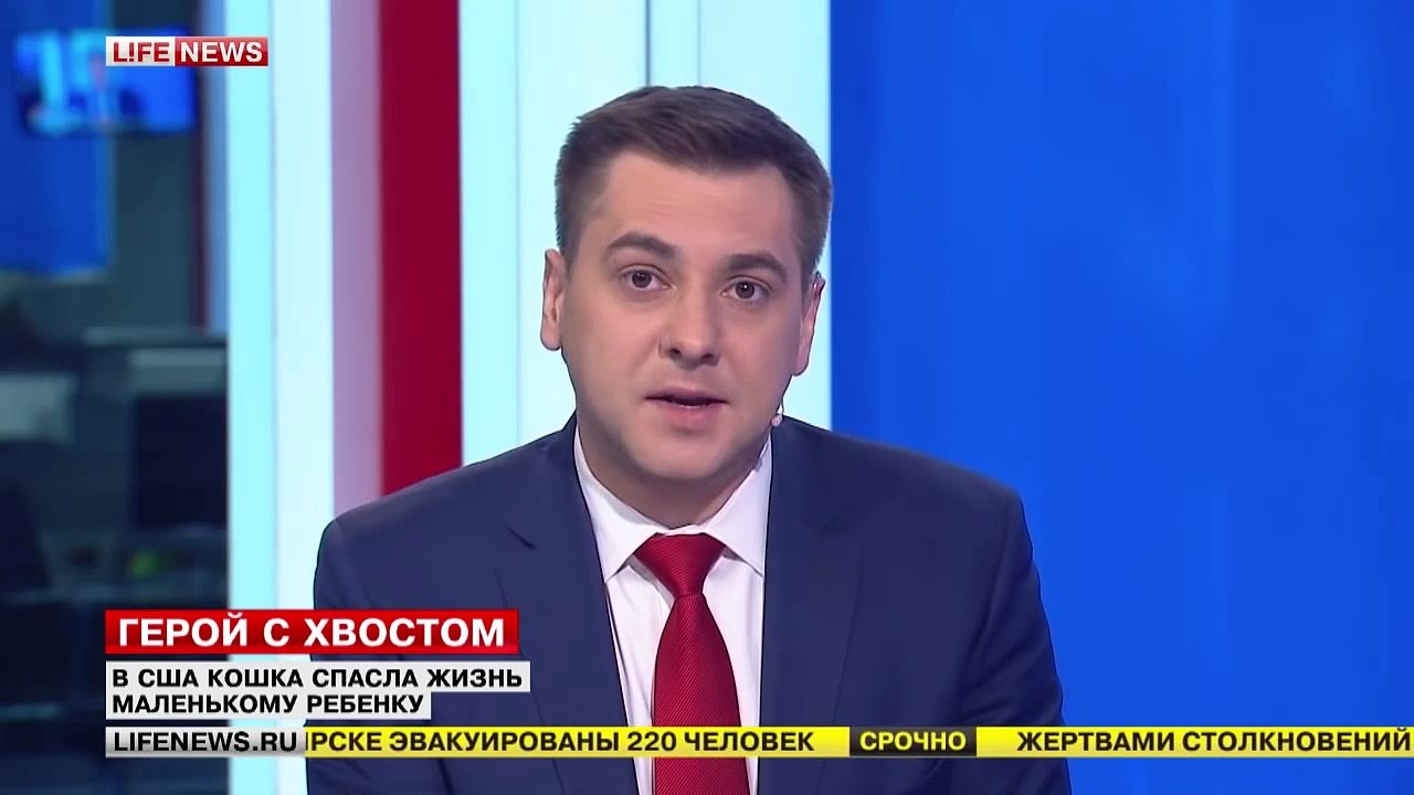 Кошка спасла ребенка растерзанного собакой