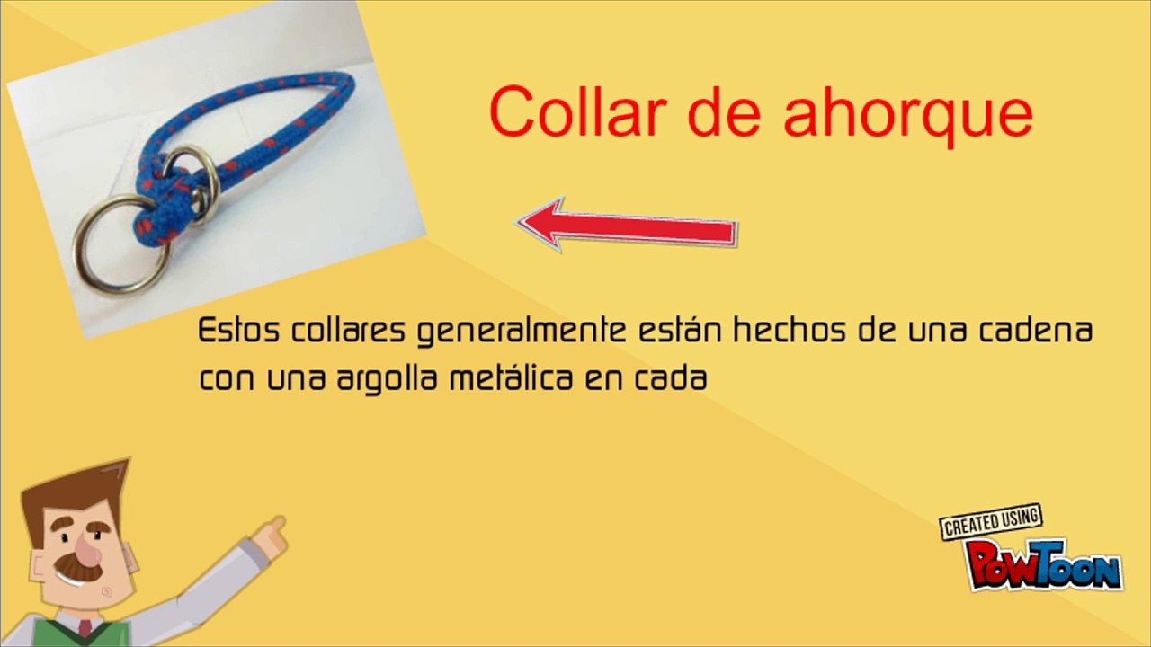 Mira diferentes tipos collares para perros