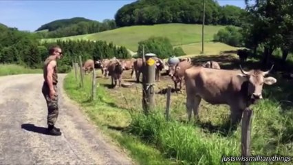 Swiss Solider commands his fellows MUUUHHH