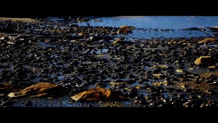 UE4 - Substance Designer