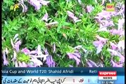 Khabardar with Aftab Iqbal - 26 February 2016 - Aamir Khan PK