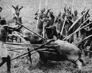 Download Africa Addio (1966) Full Movie