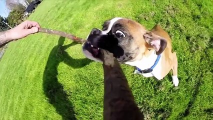 O Mundo Em Que Vivemos