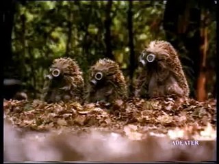 Смешная реклама  Ёжики и мерседес