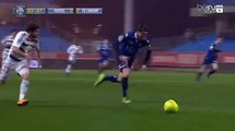 Majeed Waris Goal - Troyes 0 - 1 Lorient - 27-02-2016