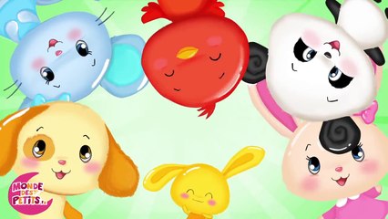 Les couleurs - La chanson des Titounis