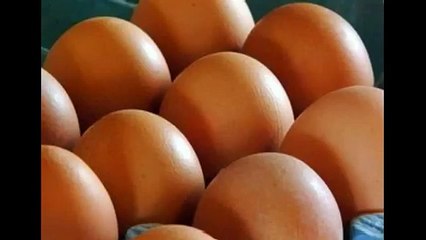 Яичная маска №2 для нормальной кожи