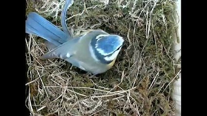 20150401 Nach dem Sturm geht es allmählich weiter