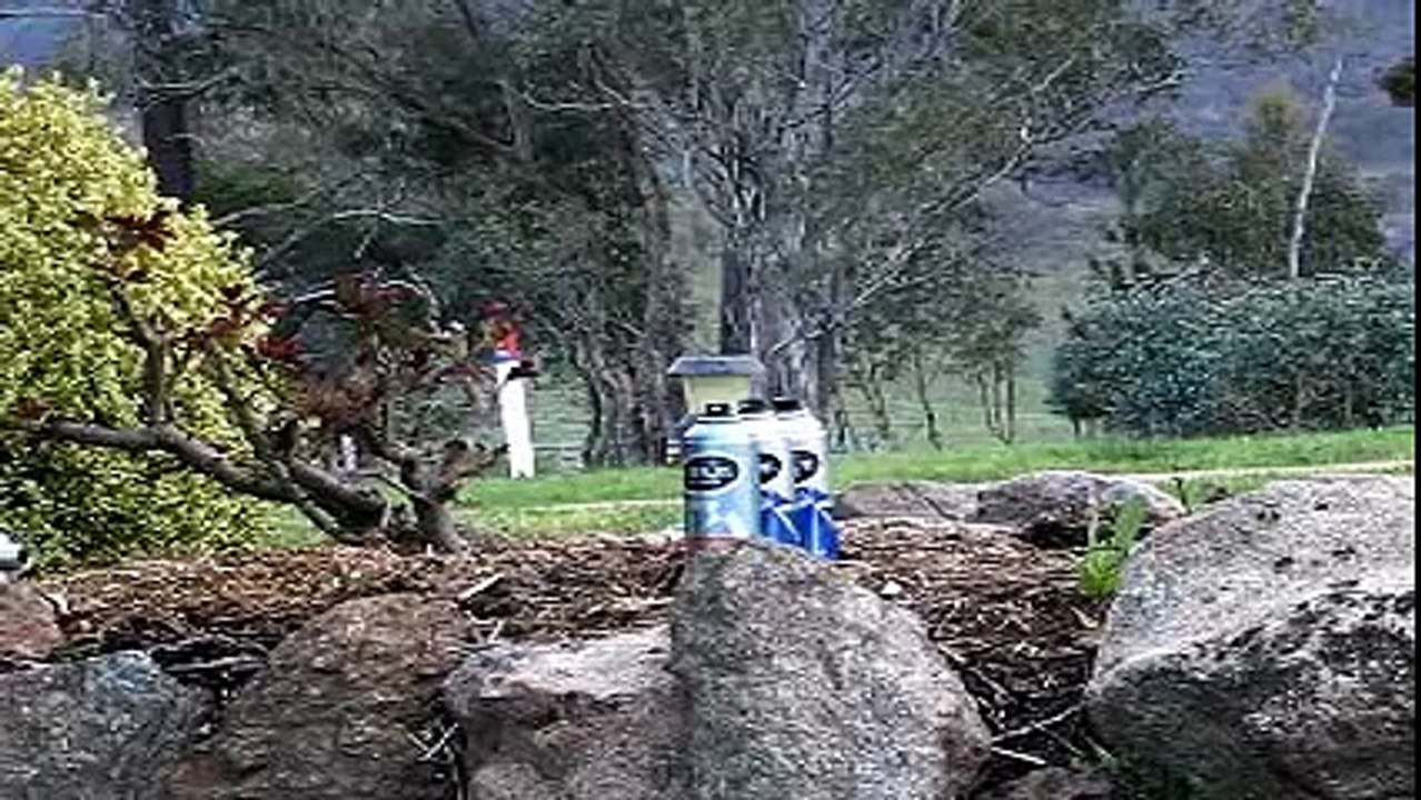 #3 Cans In A Row