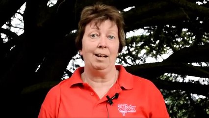 Linda Hawbrook on why Lourdes is such a special place for disabled children