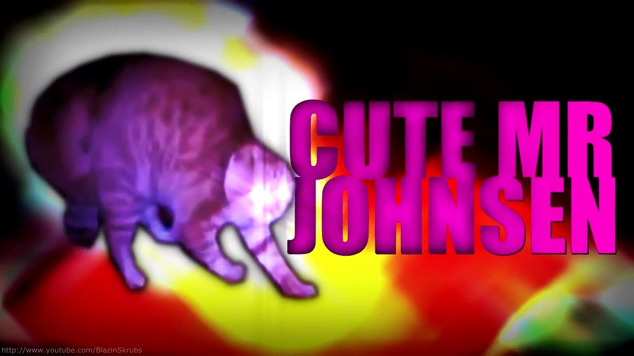 MLG CATS