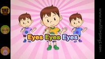 Eyes Eyes Eyes  Family Sing Along - Muffin Songs