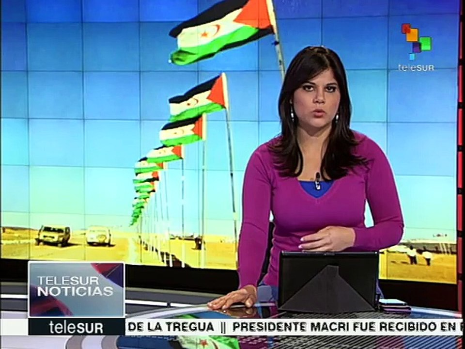 El pueblo saharaui opina de la lucha de su independencia territorial