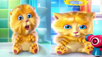 Itsy Bitsy Spider | Funny Cat Talking Ginger | Nursery Rhymes - Baby Song