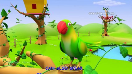 Parrot Rhymes | Alphabet Song 3d nursery rhymes for kids | P for parrot songs