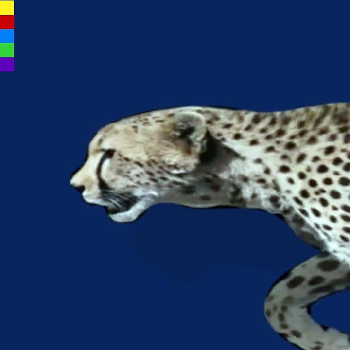 DubLi Network - The Digital Predator