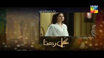 Gul E Rana Episode 18 Promo HUM TV Drama 05 Mar 2016