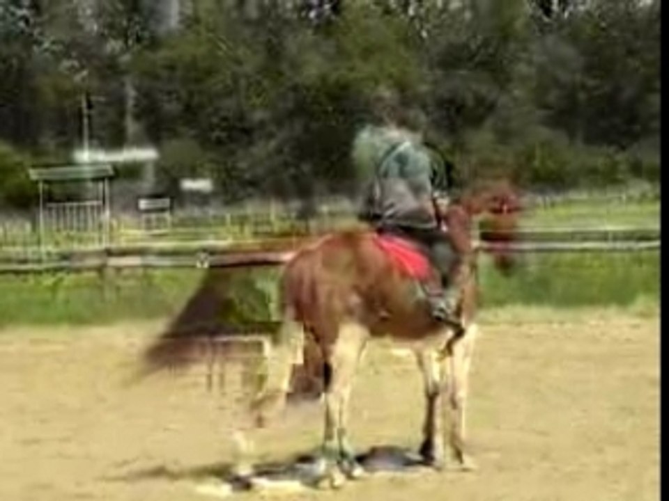 Debut pirouette