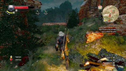 THE WITCHER 3 WALKTHROUGH PART 12 - MISSING IN ACTION