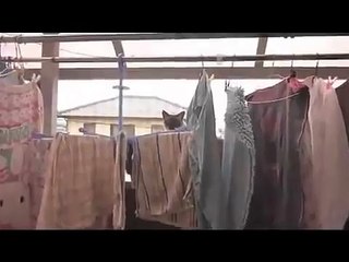 Kitty Corliss Grinding the Crack