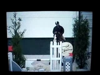 capricieuse van het oude hof