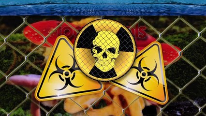 Episode 817 Americas Heartland