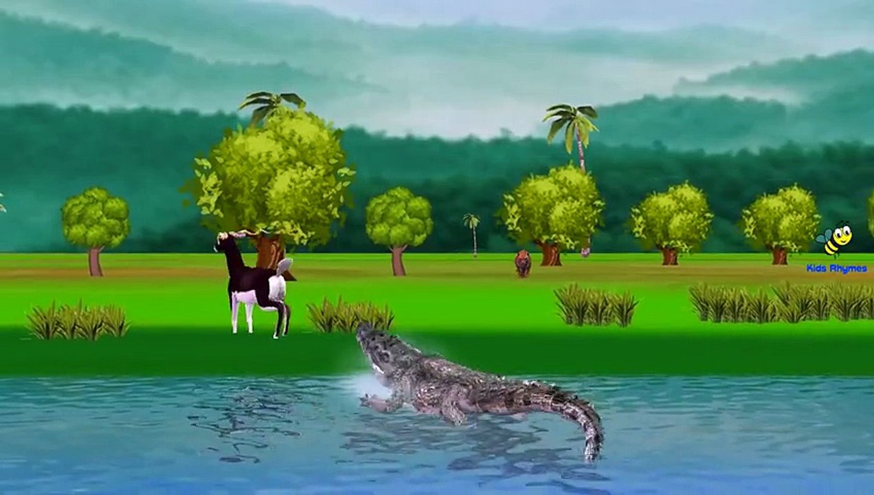 Tiger Vs Crocodile And Tiger Vs Lion Cartoons Finger Family Children Nursery Rhymes