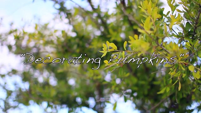 DIY Pumpkin Carvings _ Cute Halloween Ideas