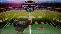 Chicken Predicts NFL Playoff Losers #2 - Sportsball