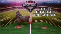 Chicken Predicts NFL Playoff Losers