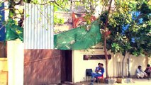 Late Actor Rajesh Khannas Bungalow Demolished - Watch Video