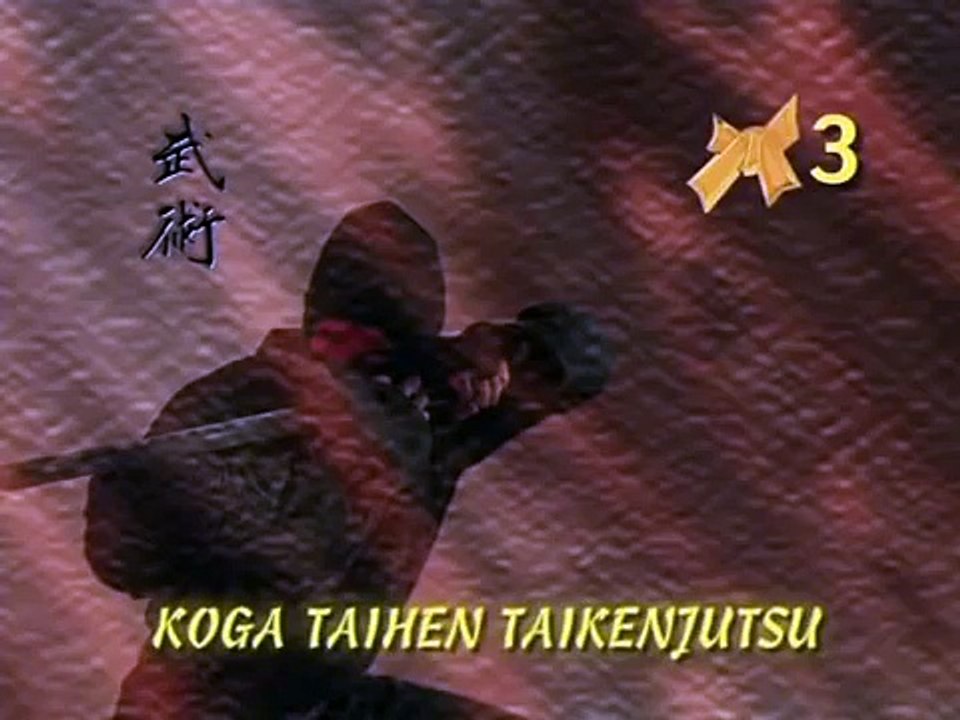 Ninjitsu ( Koga Ryu Ninjutsu )