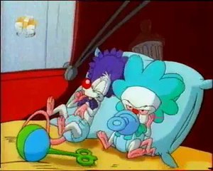 Pinky, Elmyra and the Brain Russian Intro