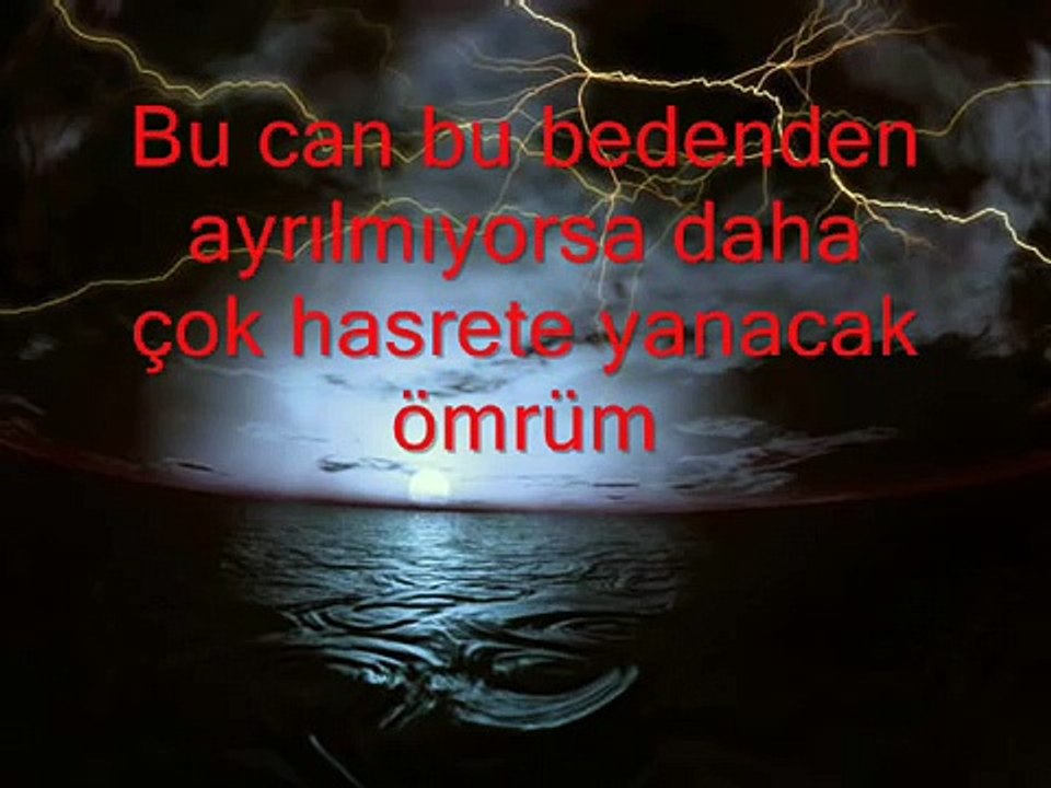 Yasemin Göksu - Aldı Gitti