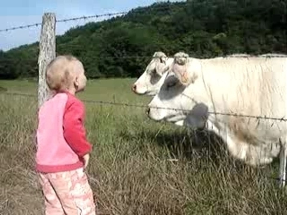 Julie et les vaches 3 juin07