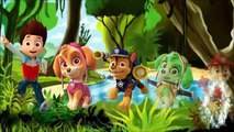 Paw patrol en español patrulla de cachorros, Dibujos animados para niños 2015