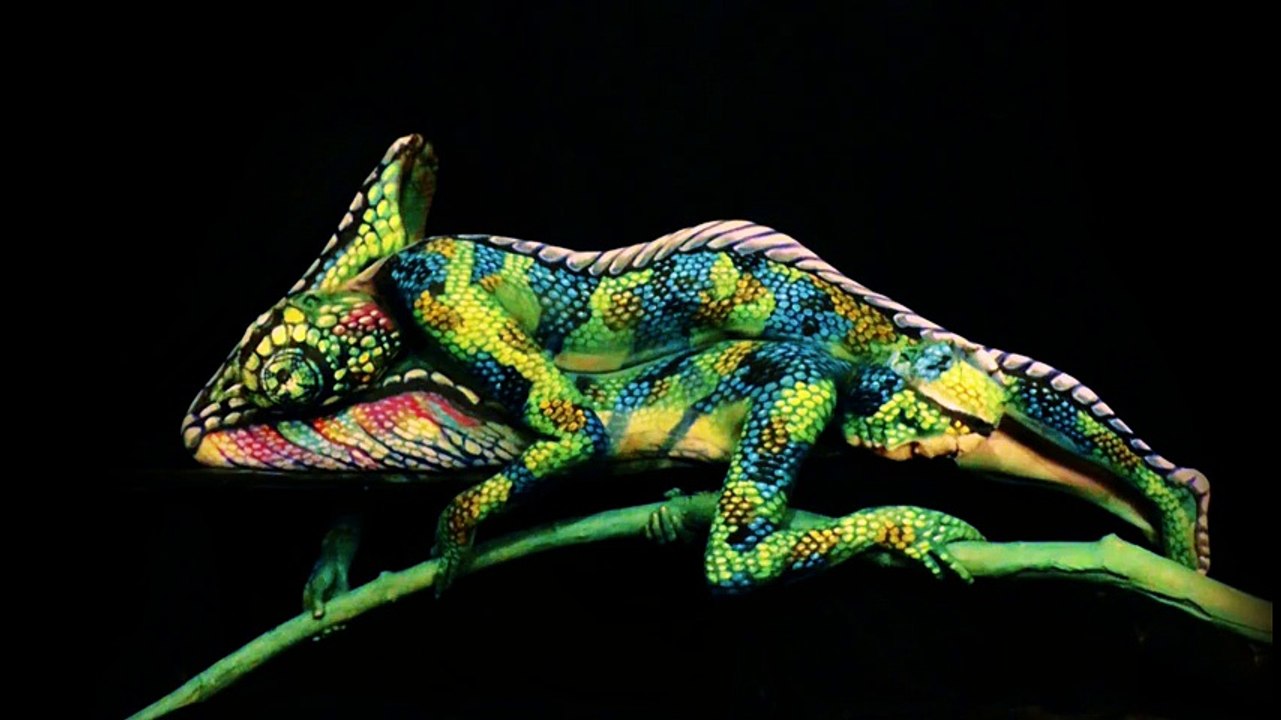 Chameleon