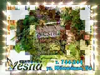 РЕСТОРАН ВЕСНА РЕКЛ РОЛИК (30 СЕК)