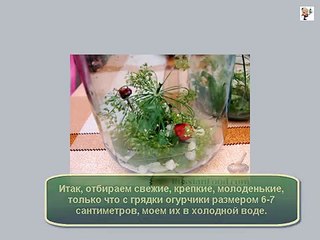 Рецепт консервации огурцов