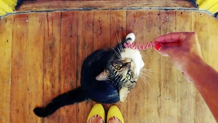 Видео в Инстаграм, видеоролики 15 секунд - Video in Instagram movie 15 second (Instavideo)